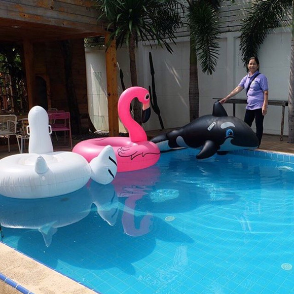 บ้าน ตุ๊กกี้ ชิงร้อยชิงล้าน บ้าน ตุ๊กกี้ ชิงร้อยชิงล้าน