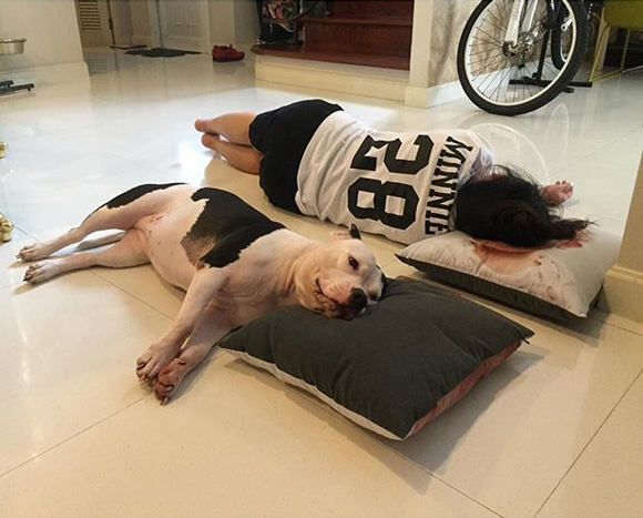 บ้าน ตุ๊กกี้ ชิงร้อยชิงล้าน บ้าน ตุ๊กกี้ ชิงร้อยชิงล้าน