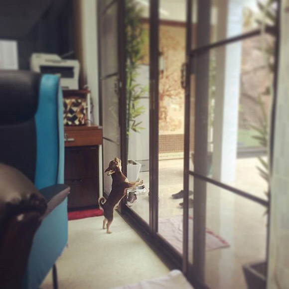 ทับทิม มัลลิกา ทับทิม มัลลิกา