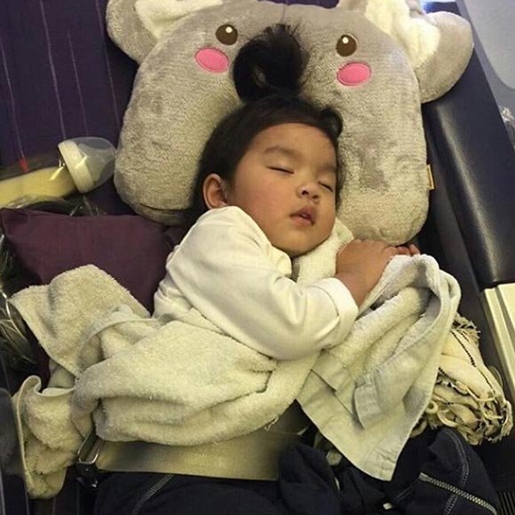 โบว์ แวนด้า น้องมะลิ โบว์ แวนด้า น้องมะลิ