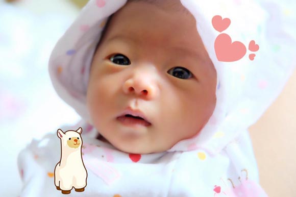 น้องเป่าเปา ถ่ายแบบ น้องเป่าเปา ถ่ายแบบ