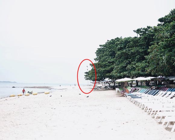 เวียร์ เบลล่า เวียร์ เบลล่า