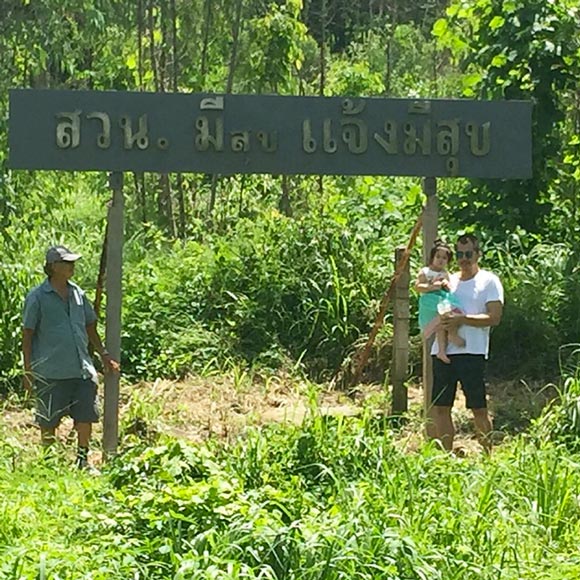 ไก่ มีสุข ไก่ มีสุข