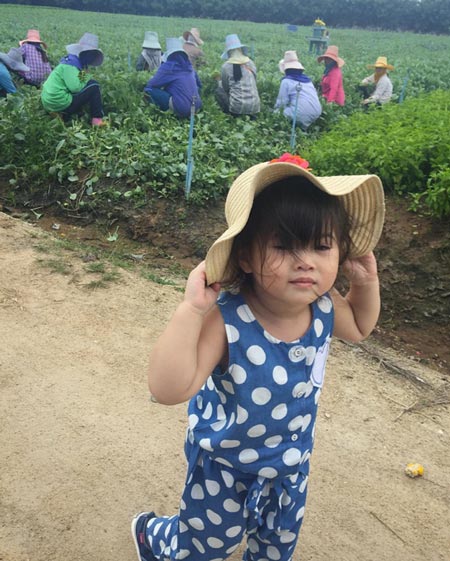 ไก่ มีสุข ไก่ มีสุข