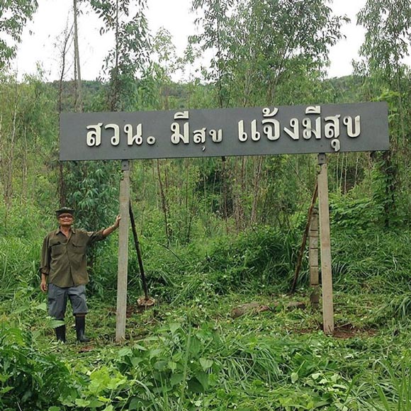 ไก่ มีสุข ไก่ มีสุข