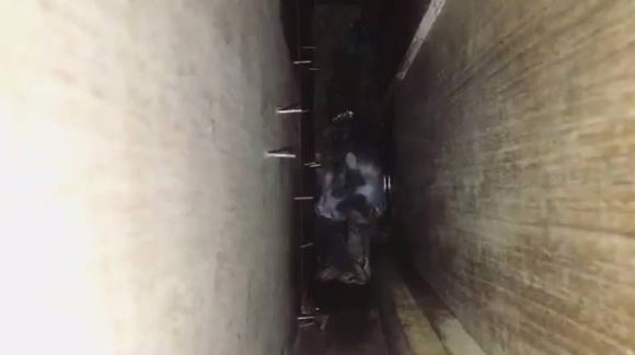 กิก ดนัย ช่วยลูกแมว กิก ดนัย ช่วยลูกแมว