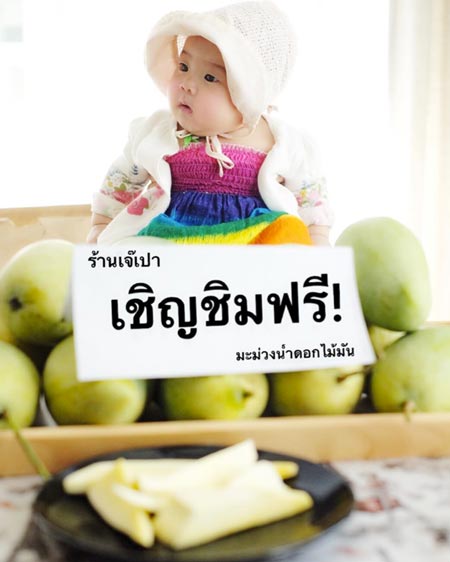 น้องเป่าเปา ลูกกุ๊บกิ๊บ บี้ น้องเป่าเปา ลูกกุ๊บกิ๊บ บี้