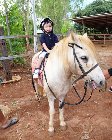 น้องโปรด น้องโปรด