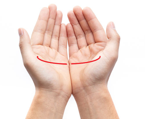 ดูลายมือ ดูลายมือ