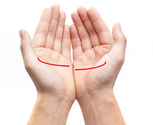 ดูลายมือ ดูลายมือ