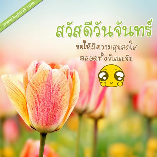ดูดวงรายวัน 16 พฤษภาคม 2559 ดูดวงรายวัน 16 พฤษภาคม 2559