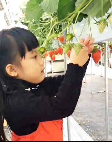น้องวันใหม่ น้องวันใหม่