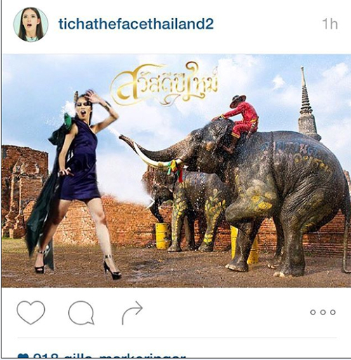ติช่า The Face Thailand Season 2 ติช่า The Face Thailand Season 2