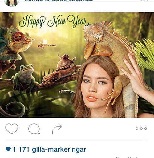 ติช่า The Face Thailand Season 2 ติช่า The Face Thailand Season 2