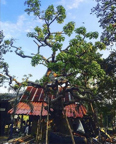 บ้านป๋อ ณัฐวุฒิ บ้านป๋อ ณัฐวุฒิ