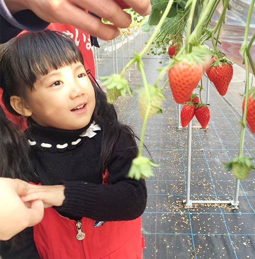 น้องวันใหม่ น้องวันใหม่