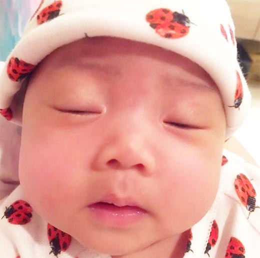 น้องเป่าเปา ลูกกุ๊บกิ๊บ บี้ น้องเป่าเปา ลูกกุ๊บกิ๊บ บี้