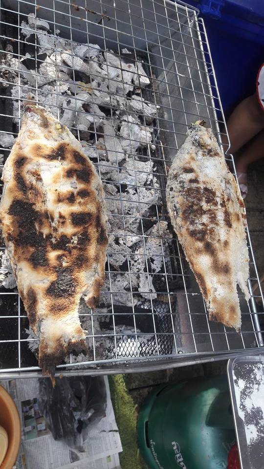 ตลาดคลองบางมด ตลาดคลองบางมด