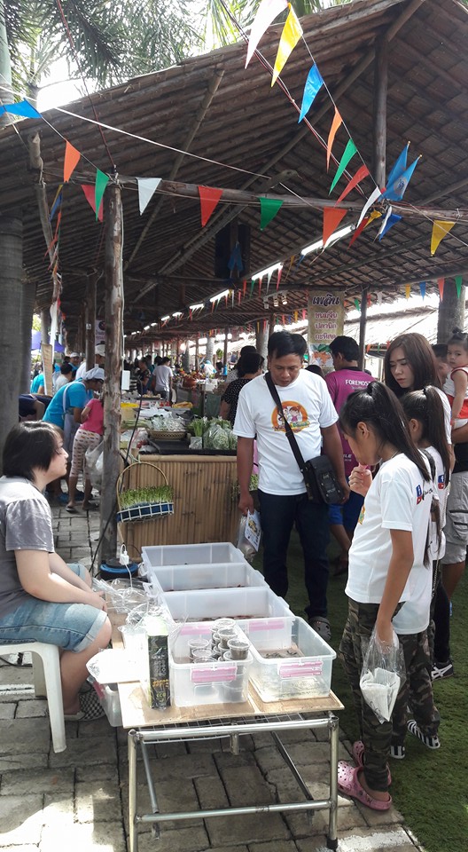 ตลาดคลองบางมด ตลาดคลองบางมด