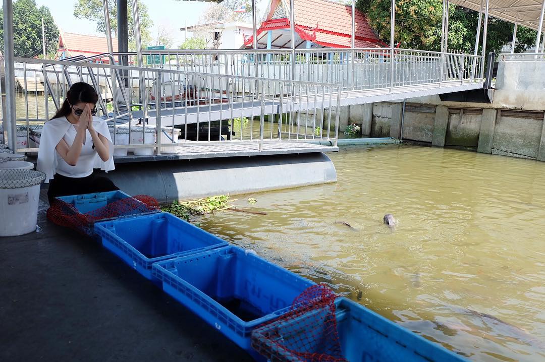 เกรซ วันเกิด เกรซ วันเกิด