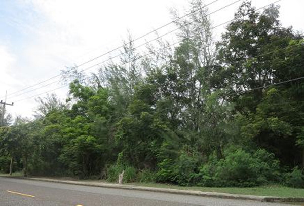 สร้างบ้านเดี่ยว สร้างบ้านเดี่ยว