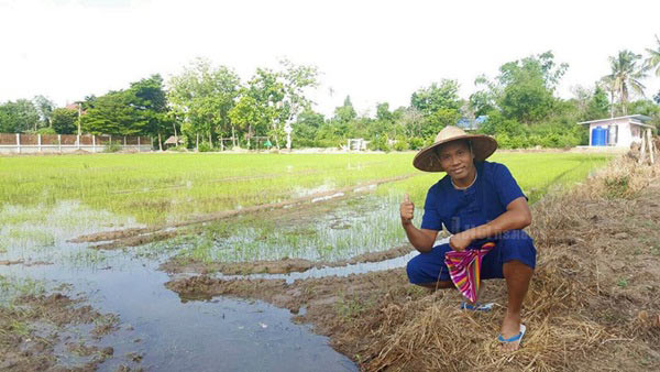 ไร่สวนดารา ไร่สวนดารา