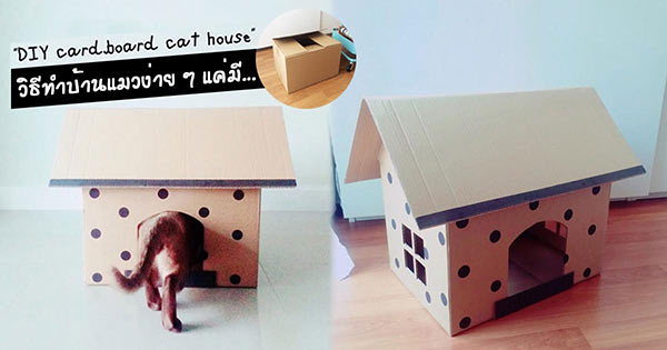 บ้านแมว บ้านแมว