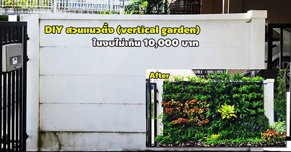 จัดสวนแนวตั้ง จัดสวนแนวตั้ง