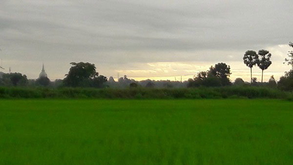ไร่สวนดารา ไร่สวนดารา