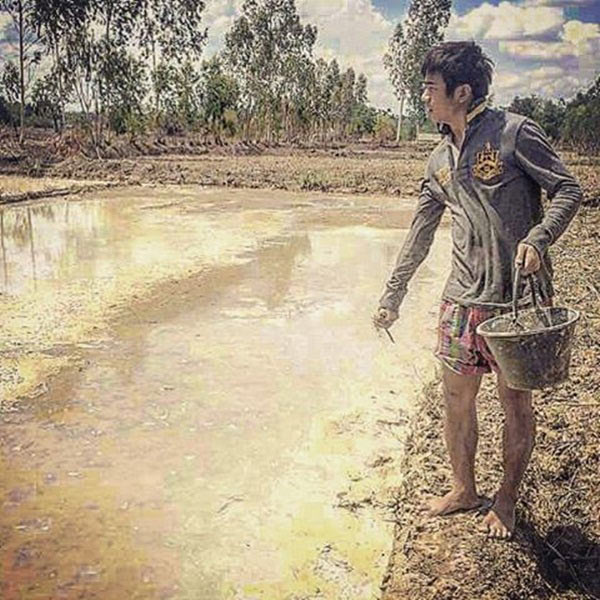 ไร่สวนดารา ไร่สวนดารา