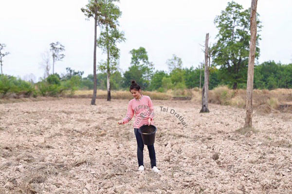 ไร่สวนดารา ไร่สวนดารา