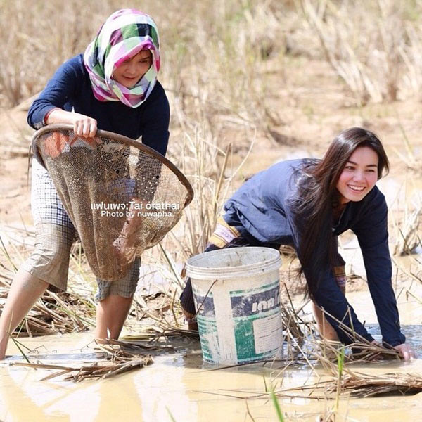 ไร่สวนดารา ไร่สวนดารา