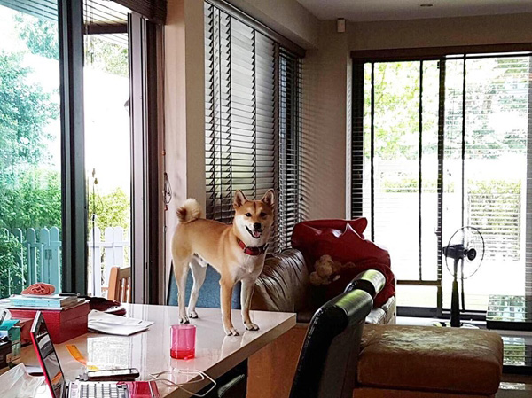 บ้าน กันต์ กันตถาวร บ้าน กันต์ กันตถาวร