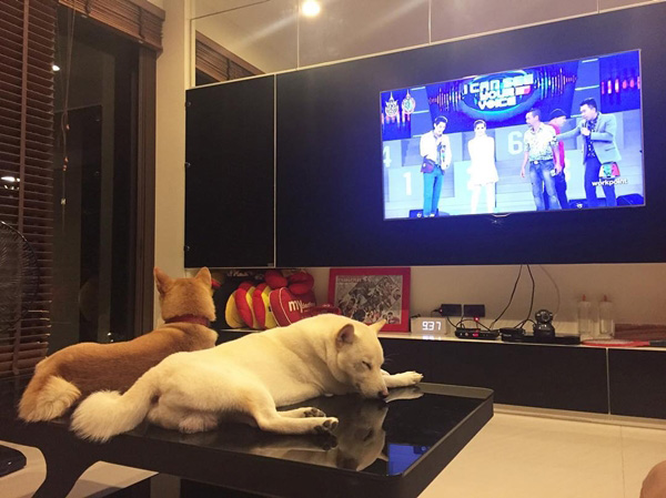 บ้าน กันต์ กันตถาวร บ้าน กันต์ กันตถาวร