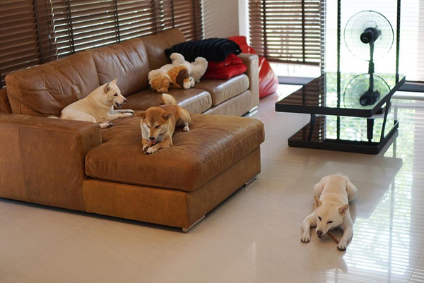 บ้าน กันต์ กันตถาวร บ้าน กันต์ กันตถาวร