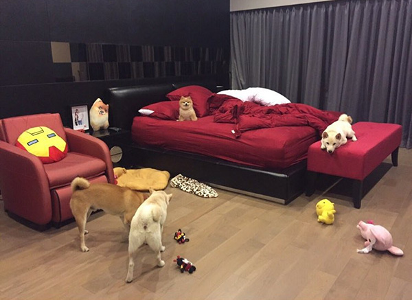 บ้าน กันต์ กันตถาวร บ้าน กันต์ กันตถาวร