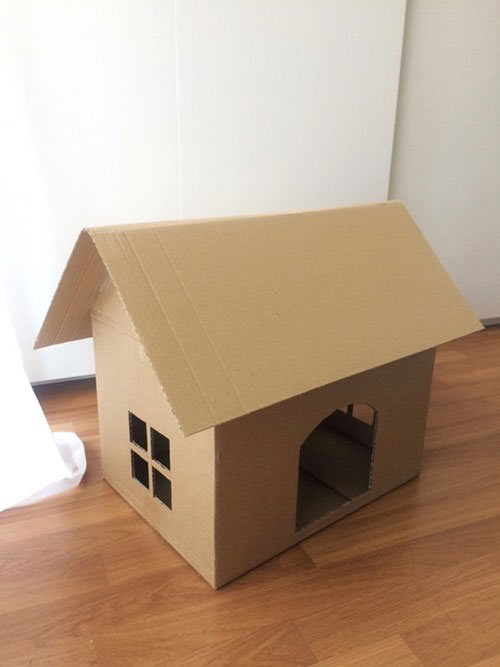 บ้านแมว บ้านแมว