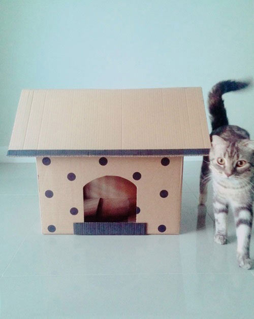 บ้านแมว บ้านแมว