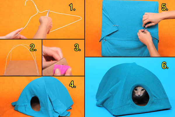 DIY ของเล่นแมว DIY ของเล่นแมว