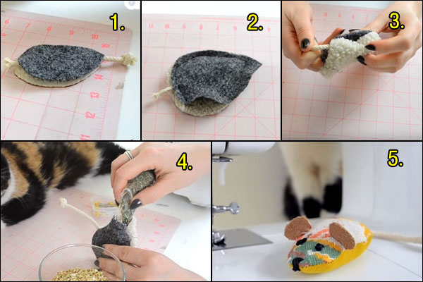 DIY ของเล่นแมว DIY ของเล่นแมว