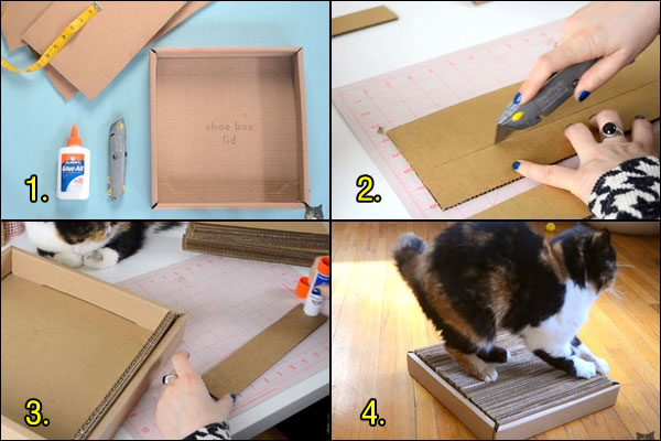 DIY ของเล่นแมว DIY ของเล่นแมว