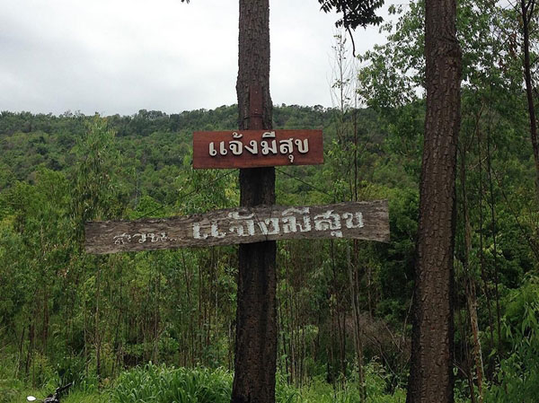 ไร่สวนดารา ไร่สวนดารา