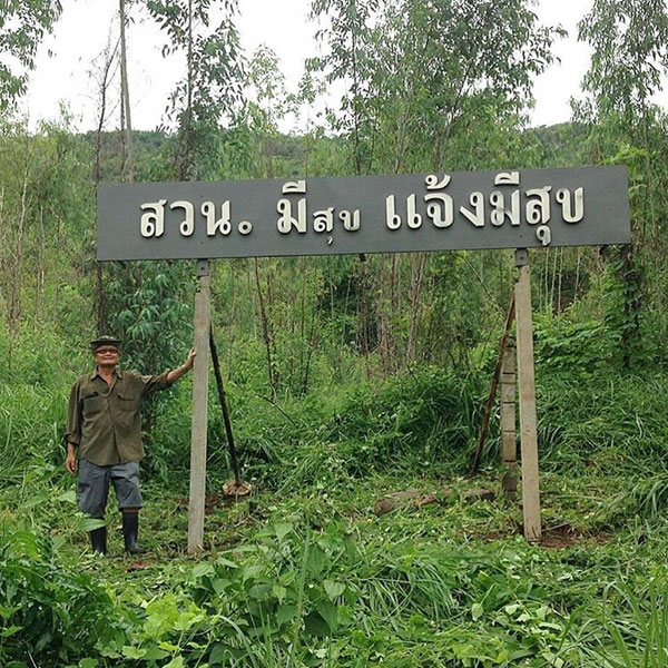 ไร่สวนดารา ไร่สวนดารา