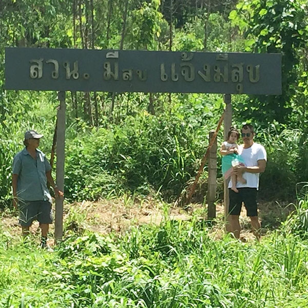 ไร่สวนดารา ไร่สวนดารา