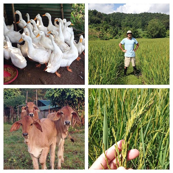 ไร่สวนดารา ไร่สวนดารา