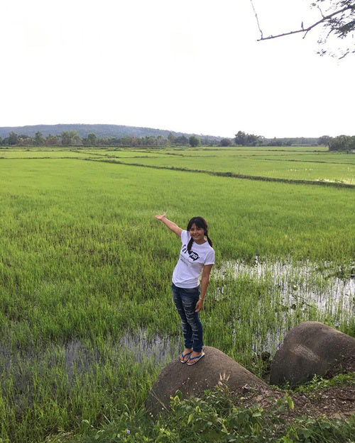 ไร่สวนดารา ไร่สวนดารา