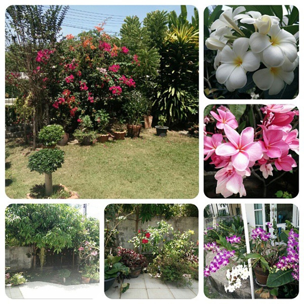 บ้านดาราไทย บ้านดาราไทย