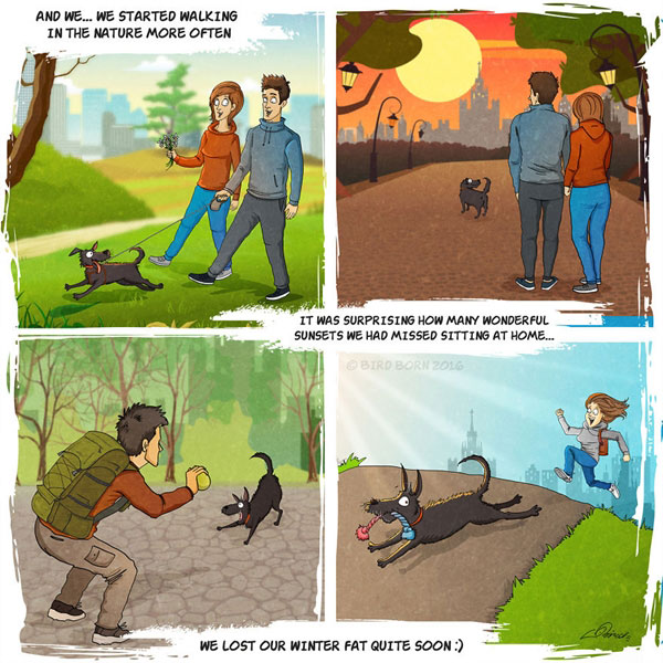 สุนัขจรจัด สุนัขจรจัด