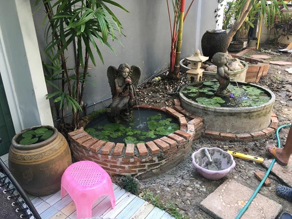 จัดสวนหลังบ้าน จัดสวนหลังบ้าน