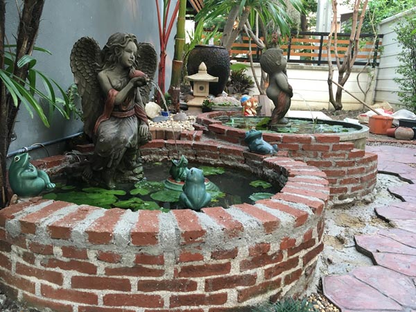 จัดสวนหลังบ้าน จัดสวนหลังบ้าน